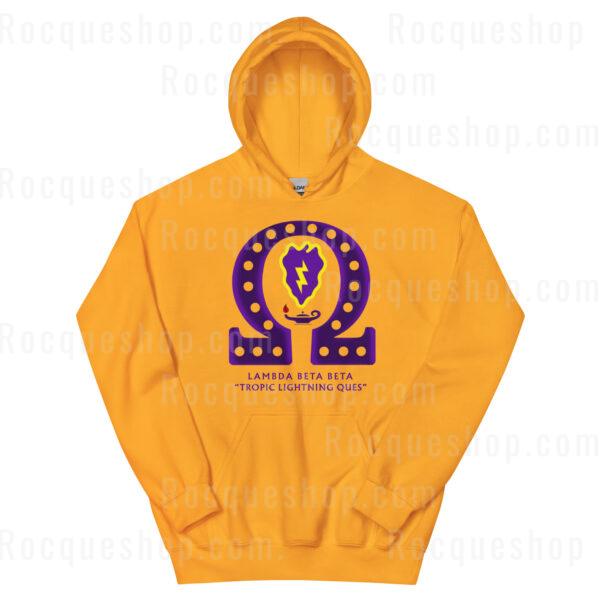 LBB - Tropic Lightning Ques Hoodie - Image 3
